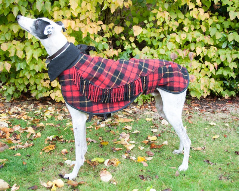 Greyhound Winter Coat, Dog Coat, Greyhound Coat,Wool Blanket Coat, Scottish Tartan, Custom Made, Polar Fleece Lined, Large Lurcher/Greyhound image 1