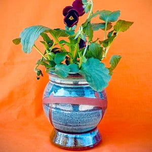 May include: A ceramic pot with a blue and red design holds a flowering plant with dark purple blooms and green leaves. The pot sits on a small, decorative base against an orange background. The plant's flowers have yellow centers.