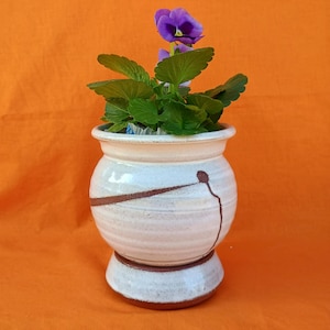 Può includere: Un vaso di ceramica con un fiore viola e foglie verdi. Il vaso bianco sporco ha accenti marroni e una base a piedistallo. Lo sfondo è arancione.