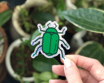 Holo ahí, pegatina del señor Beetle