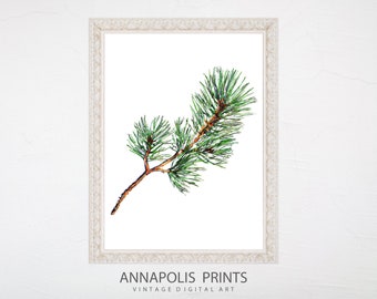 Botanical Winter Print | Christmas Print | Pine tree Printable Art | Pine Branch | Neutral Winter Wall Art
