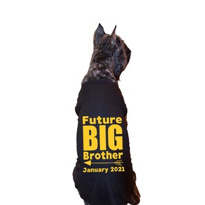 future big brother dog shirt