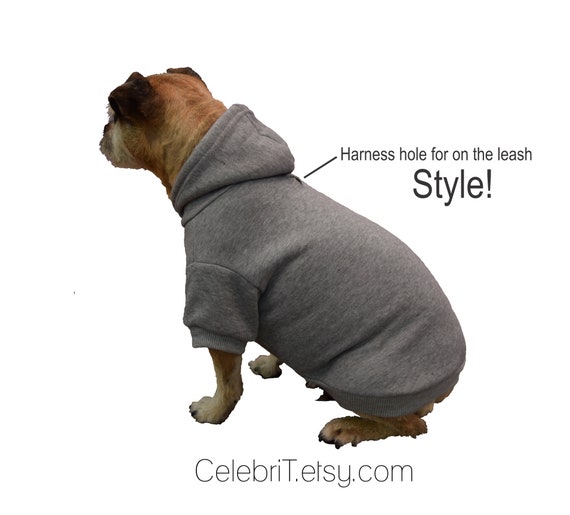 Daddy's girl sale dog sweater