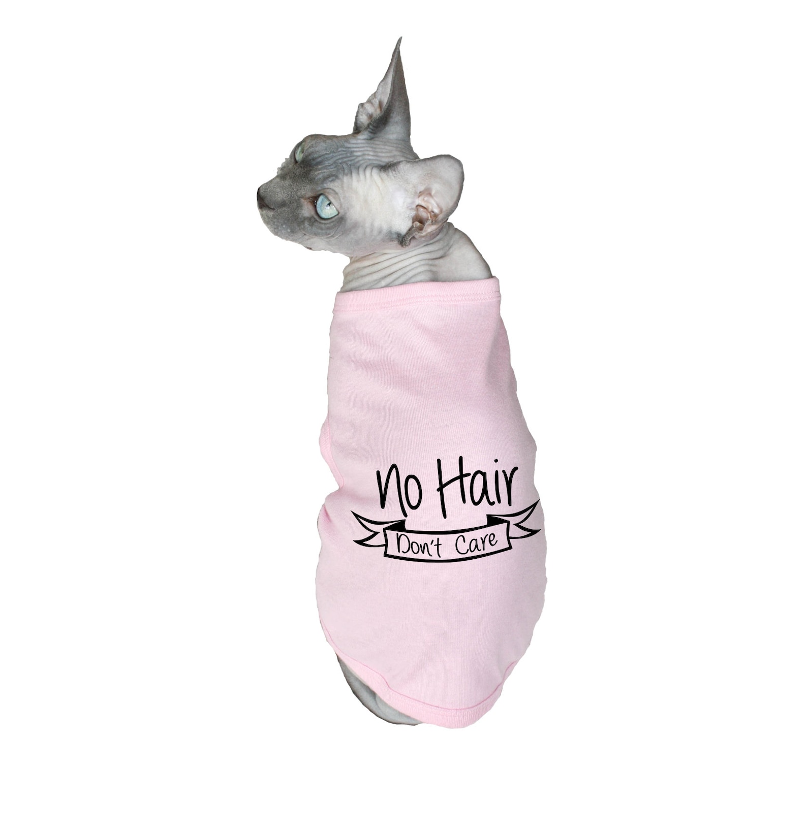 Hair Dont Care Cat Hair Dont Care Hairless Cat Sphynx Cat Etsy