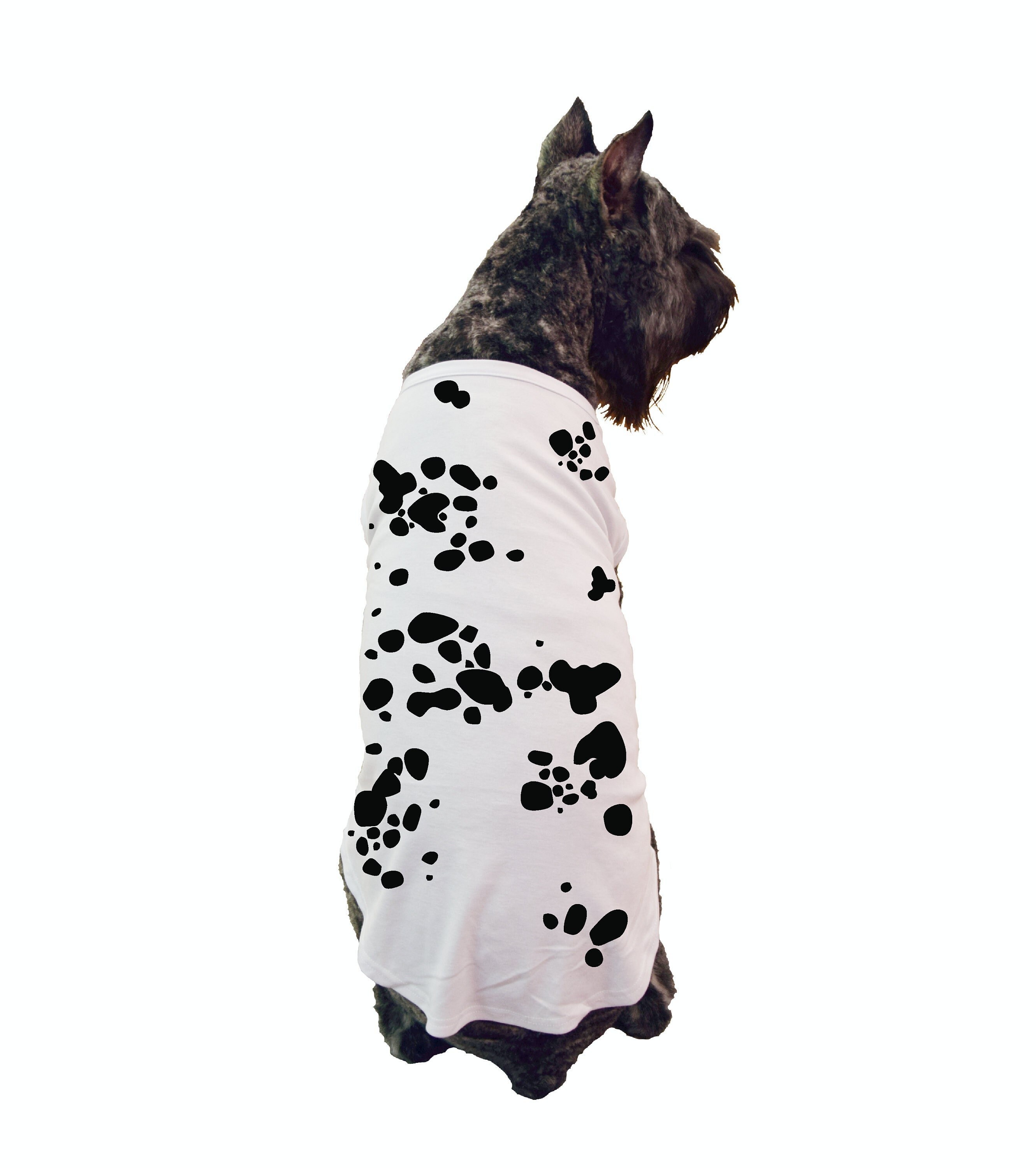 Cane Corso Halloween Costumes 2022 Dog Halloween Costume Pet Halloween Costume Dalmation Etsy Ireland