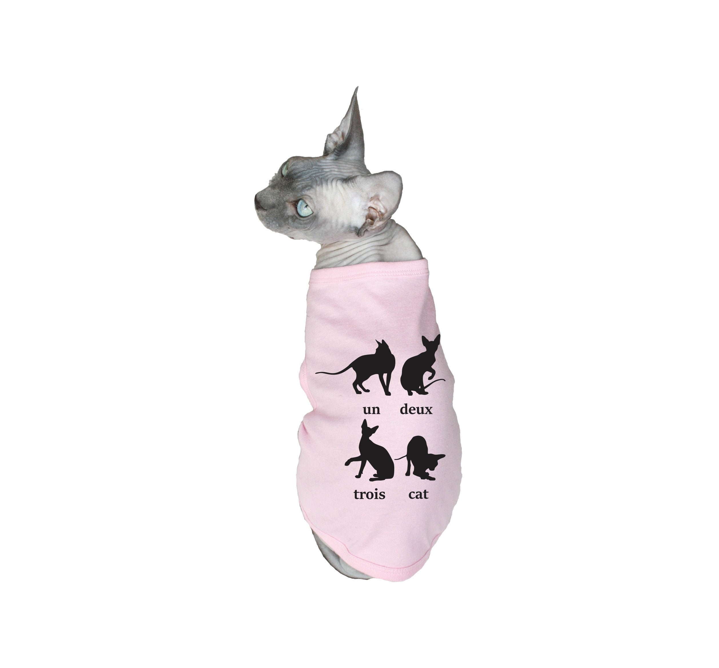 cat clothes etsy