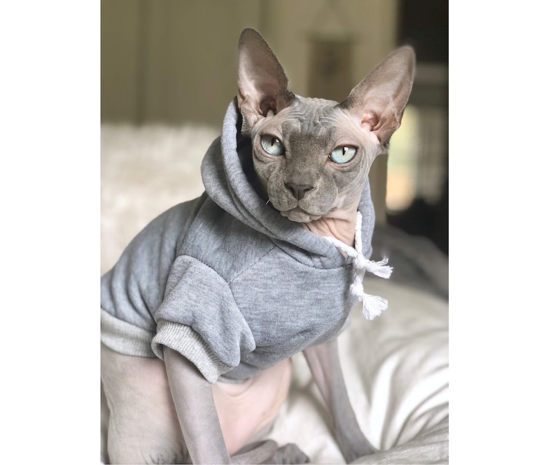 personalized pet hoodies for cats cat gift sphynx hoodie hoodie sweatshirt for cats cat hoodie Thug life shirt clothes for cats