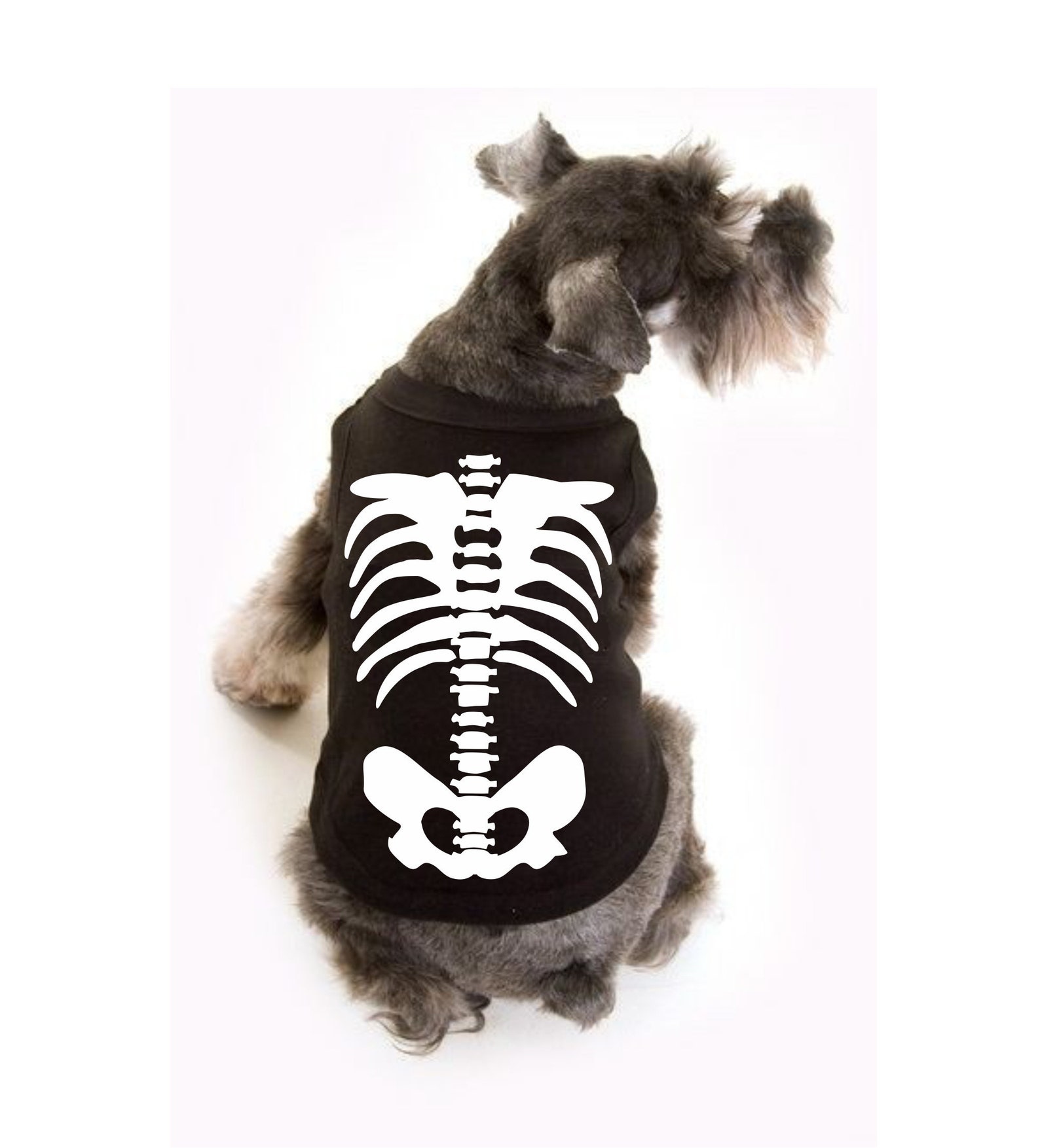 READY TO SHIP Dog Skeleton Costume Pet Halloween Costume Etsy