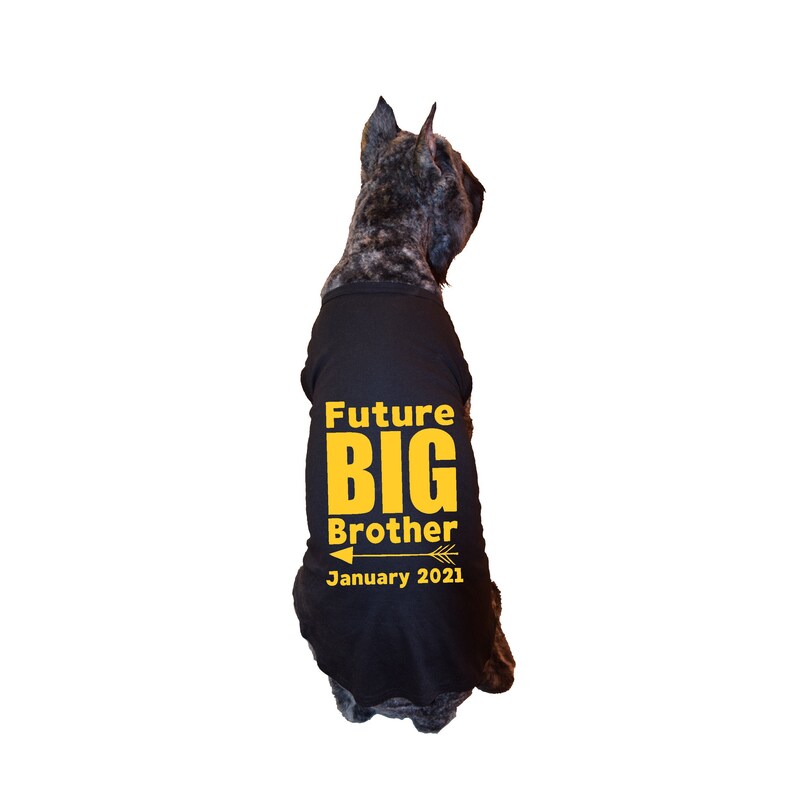 Big Brother Dog Shirt for Big Dogs Large Dog Clothes Large Etsy
