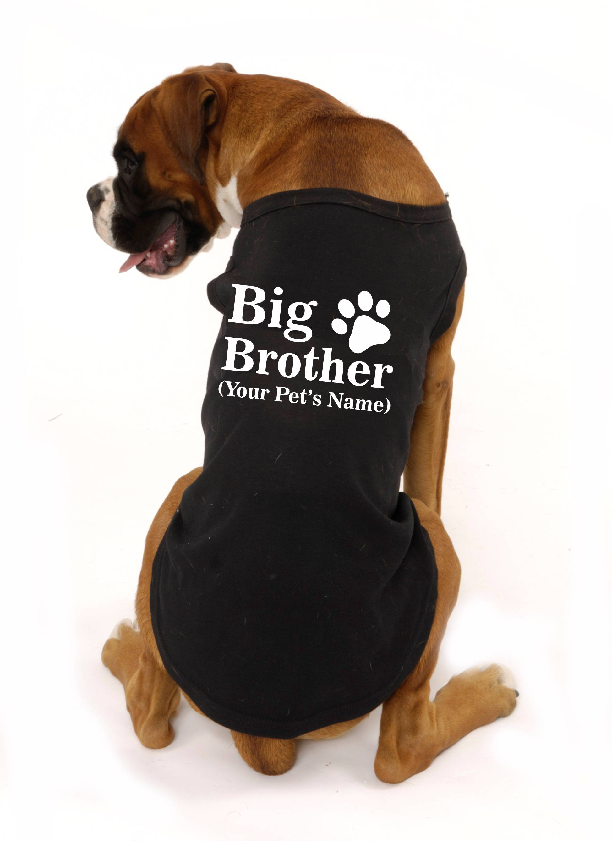 Big brother dog sweater Clearance