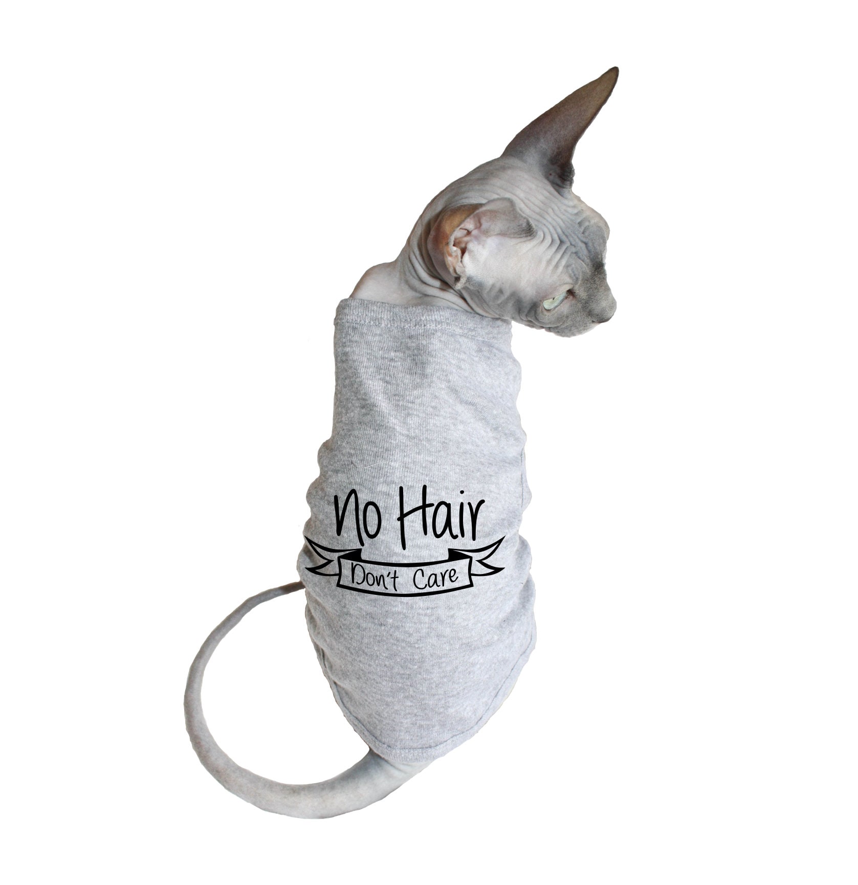 Hair Dont Care Cat Hair Dont Care Hairless Cat Sphynx Cat - Etsy