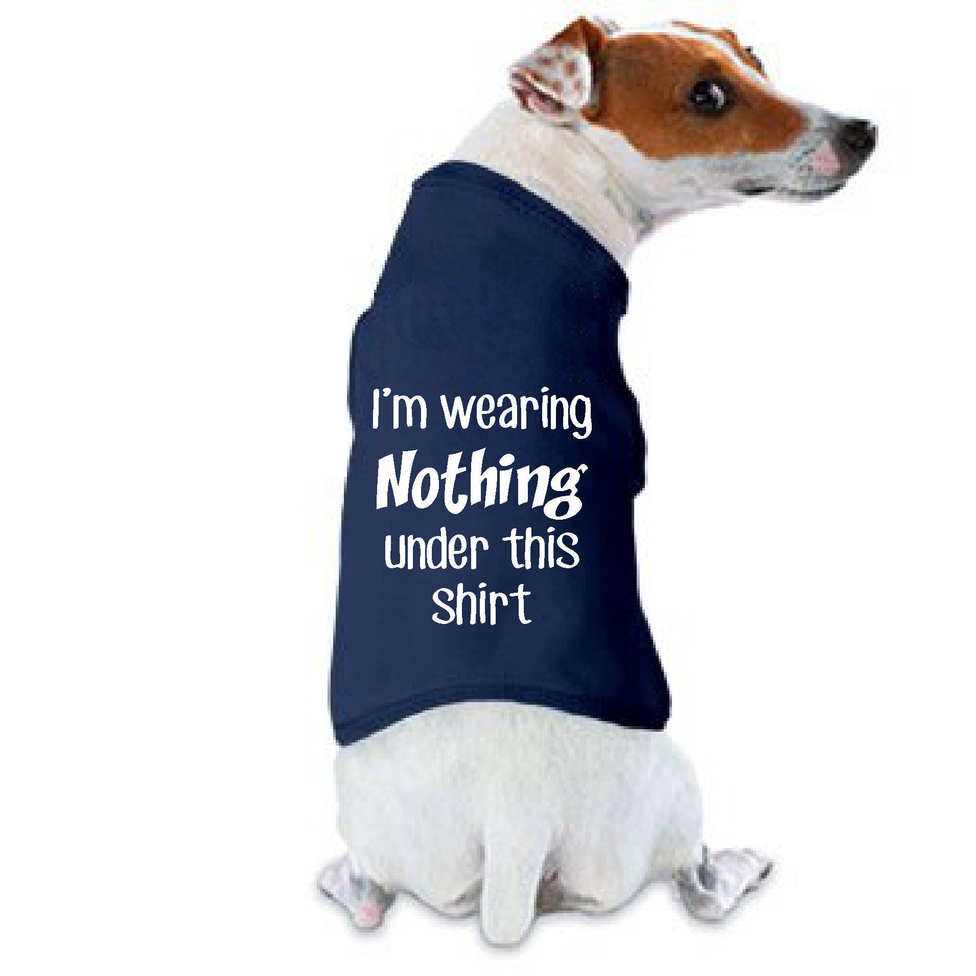 Is It Bad For Dogs To Wear Clothes