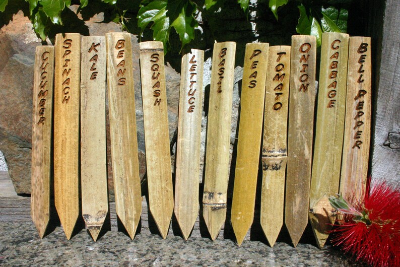 6 Bamboo Garden Stakes are Laser engraved to Label or Mark Etsy