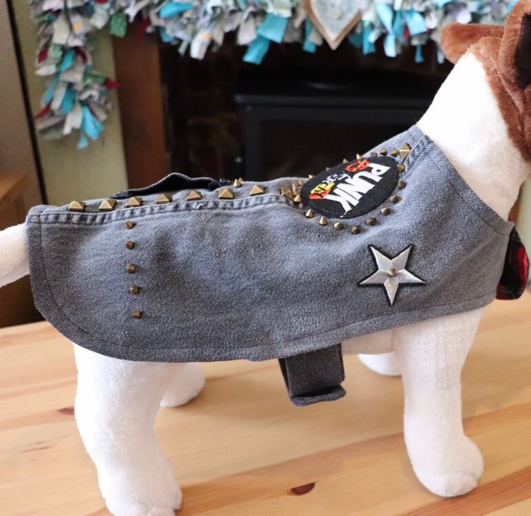 dog punk jacket