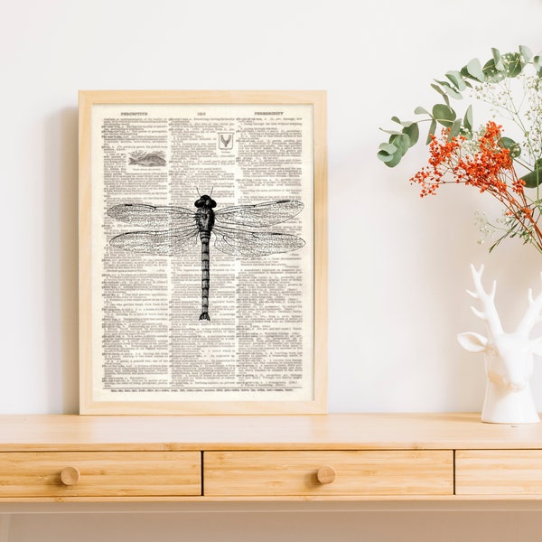 Dictionary Art Print Dragonfly  Insect Dictionary page flying fairytale summer pond Decor Wall Baby Nursery Illustration B2G1