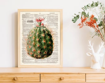 Dictionary Art Print Cactus with Red Flower  Decor Wall Desert green Hostess Gift B2G1