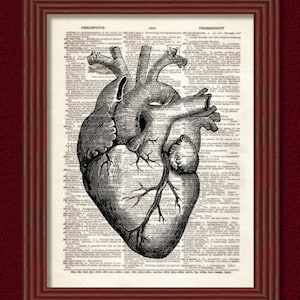 Dictionary Art Print Human Heart Halloween Page Anatomy Skeleton biology muscle science geek Dictionary page medical Dorm Decor Wall B2G1