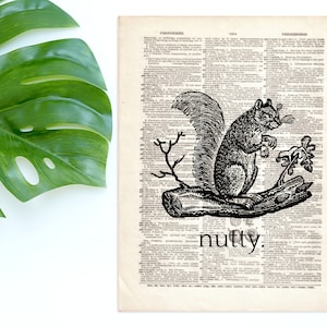 Dictionary Art Print Nutty Squirrel Etching Animal Decor Wall Humor Book Dictionary Page B2G1