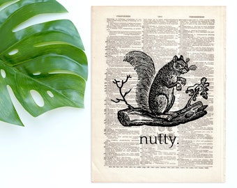 Dictionary Art Print Nutty Squirrel Etching Animal Decor Wall Humor Book Dictionary Page B2G1