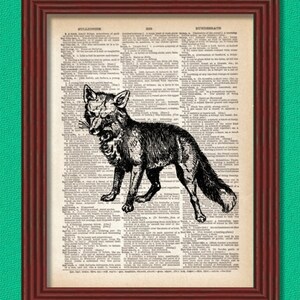 Dictionary Art Print Fox  Forest animal Woodland Beast Hunting Creature Dog Dorm Decor Wall Illustration Book B2G1