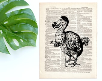 Dictionary Art Print Dodo Art Print Alice in Wonderland Mock Turtle Decor Wall Book Lewis Carroll B2G1