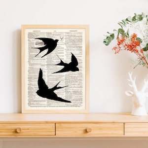 Dictionary Art Print 3 Swallows Feather Bird Sillhouette Dorm Decor Wall Illustration Kids Baby Vintage Page Book B2G1