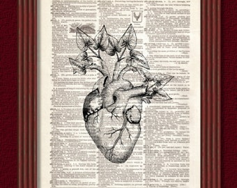 Dictionary Art Print Cardiacus Botanicus  Page Anatomy organ flower Human Heart plant medical dorm Decor Wall Illustration B2G1