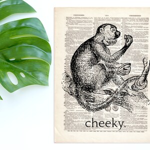 Dictionary Art Print Cheeky Monkey Decor Wall Primate Animal Jungle Humor Vintage Collage Typography Book B2G1