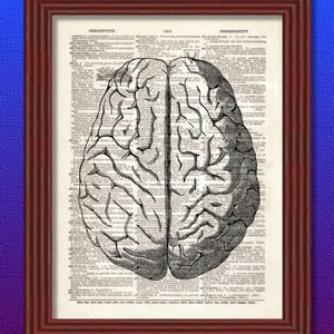 Dictionary Art Print Brain  Anatomy Skeleton zombie Human biology muscle geek medical Dorm Decor Goth Wall Illustration B2G1