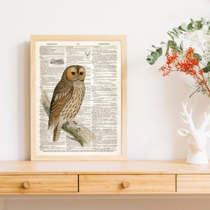 Dictionary Art Print Brown owl on Branch Bird Dictionary Print Decor Office Den Study Living Room Kitchen Nursery Dictionary page sale B2G1