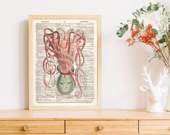 Dictionary Art Print Colorful Cuttlefish Nautical Octopus Squid Ocean Sea Fish Decor Wall Kids Baby Illustration B2G1