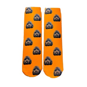 May include: A pair of orange socks with a repeating pattern of brown dog faces.