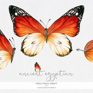 Puede incluir: Ilustraci&oacute;n de acuarela de tres mariposas naranja y blancas con marcas negras. Las mariposas est&aacute;n en varias posiciones, con una mariposa en vuelo y las otras dos mariposas en reposo. El texto "ancient egyptian" est&aacute; escrito debajo de las mariposas.