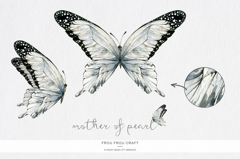 Puede incluir: Ilustraci&oacute;n de acuarela de tres mariposas con alas blancas y negras. Las mariposas tienen un efecto nacarado. El texto "mother of pearl" est&aacute; escrito debajo de las mariposas. El texto "Frou Frou Craft" y "6 High Quality Images" est&aacute; escrito debajo del texto "mother of pearl".