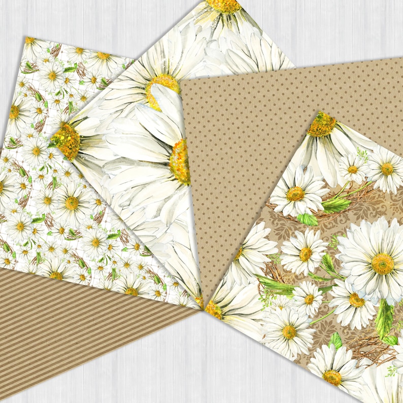 May include: Four different patterned paper sheets with a daisy theme. The papers feature white daisies on a white background, white daisies on a brown background with white polka dots, white daisies on a brown background with white stripes, and white daisies on a brown background with a damask pattern.