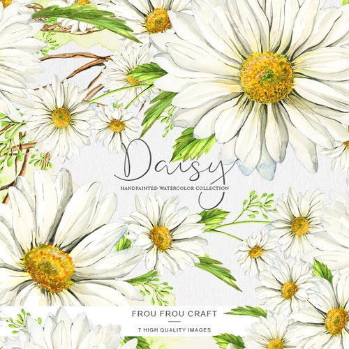 Daisy Clipart Stickers Scrapbooking White Spring Clip Art Etsy