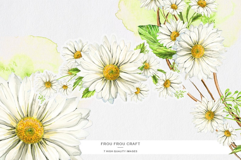 K&ouml;nnte beinhalten: Aquarellmalerei von wei&szlig;en G&auml;nsebl&uuml;mchen mit gelben Zentren, die in einem Strau&szlig; mit gr&uuml;nen Bl&auml;ttern und Stielen angeordnet sind. Der Hintergrund ist hellgrau mit einer Aquarellw&auml;sche in Gr&uuml;n und Gelb.