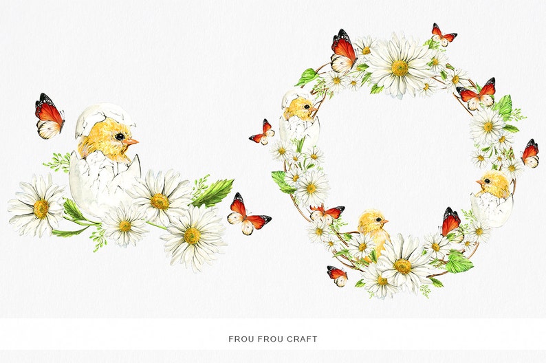May include: A watercolor illustration of a wreath made of white daisies and green leaves with small yellow chicks peeking out of eggs.  Butterflies with red and orange wings are flying around the wreath.  A separate image shows a yellow chick hatching from an egg surrounded by white daisies.