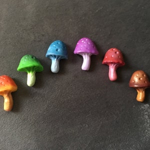 Rainbow Mushroom Magnets