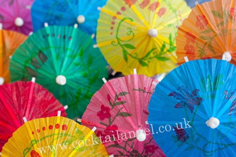 PAPER COCKTAIL UMBRELLAS Pack of 25 Etsy