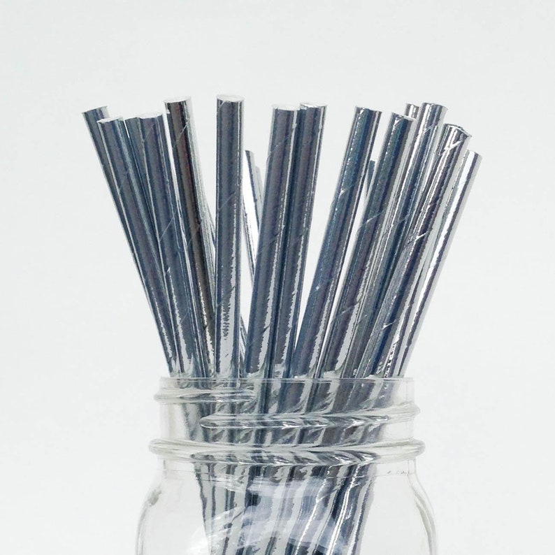 SILVER Paper Straws X 20 Etsy
