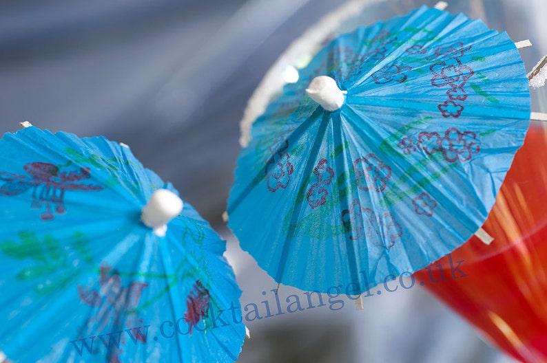 PAPER COCKTAIL UMBRELLAS pack of 20 Etsy