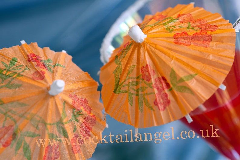 PAPER COCKTAIL UMBRELLAS Pack of 25 Etsy