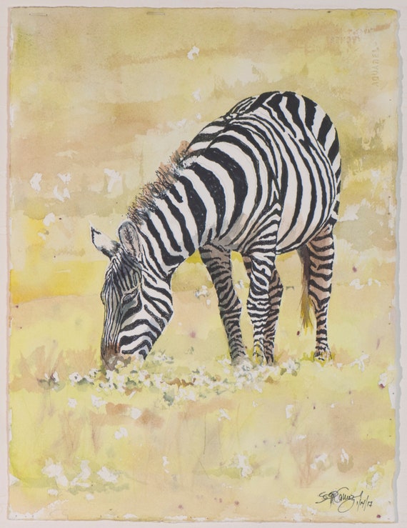 Zebra Wildlife Africa Safari Original Watercolor Painting Etsy