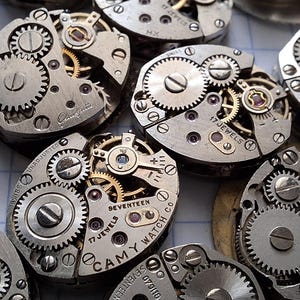 May include: Close-up of several disassembled watch movements, showcasing intricate gears, screws, and jewel bearings. The silver-toned metal components are arranged on a grid-lined surface, highlighting the precision of the watchmaking craft. Some movements are marked with "17 JEWELS" and "CAMY WATCH CO."