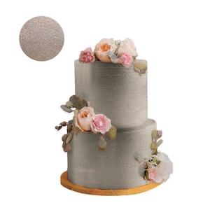 LIGHT GOLD HIGHLIGHTER Dust 4 grams container, metallic powder by  Oh! Sweet Art Products Fondant Gum Paste Cake Decorating