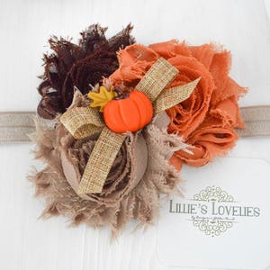 Fall Baby Headbands, Thanksgiving Outfits Girl, Fall Outfits for Baby Girls, Toddler Fall Dress, Pumpkin Headband, Fall Baby Dress, Portrait