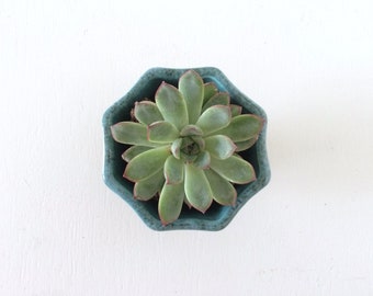 Mid-century Hull Pottery Green Ombre Pedestal Planter