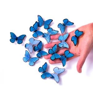 Foto auf Leinwand Blaue fliegende Schmetterlinge. 