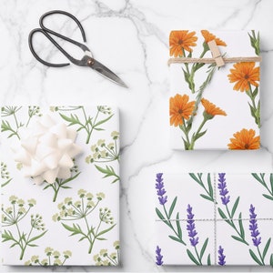 Set of 3 Apothecary Herb and Flower Wrapping Paper Sheets